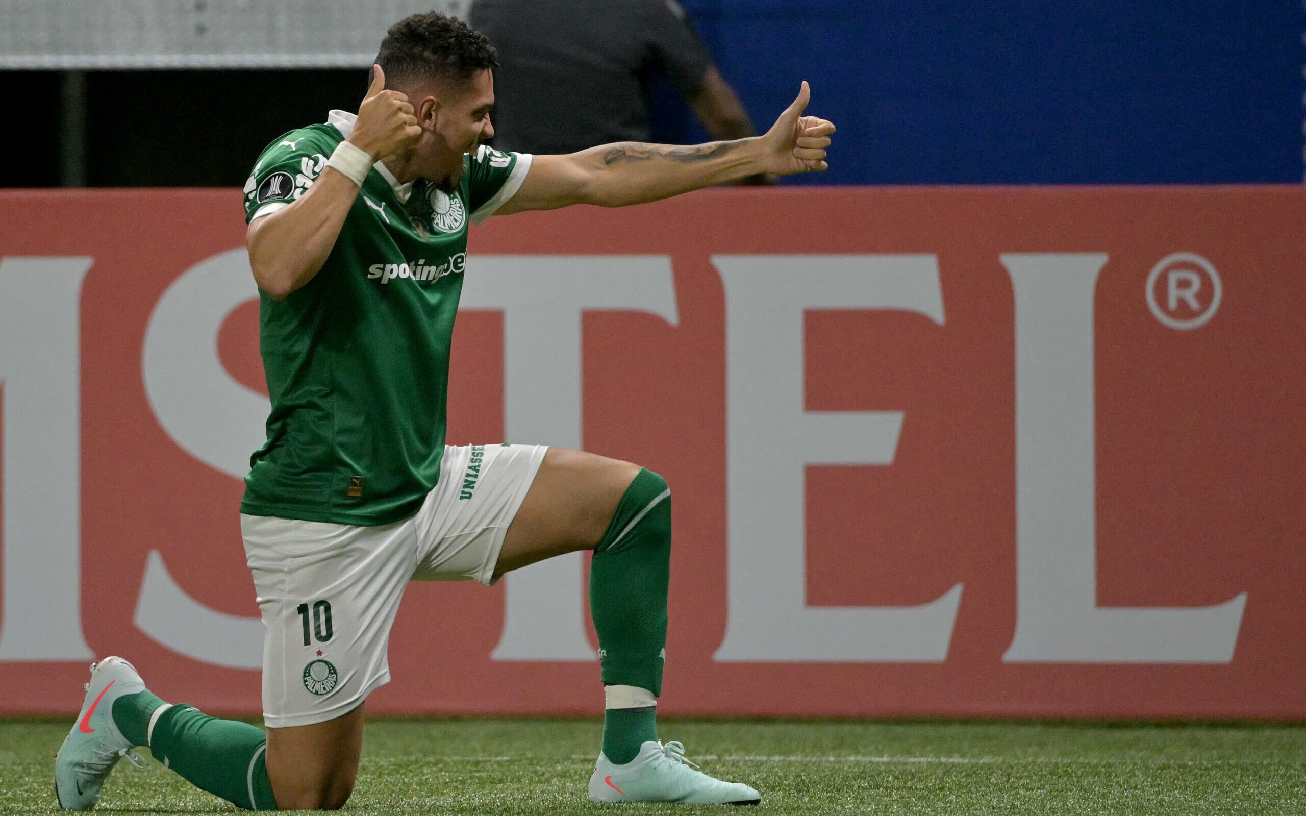 A nova temporada do Palmeiras