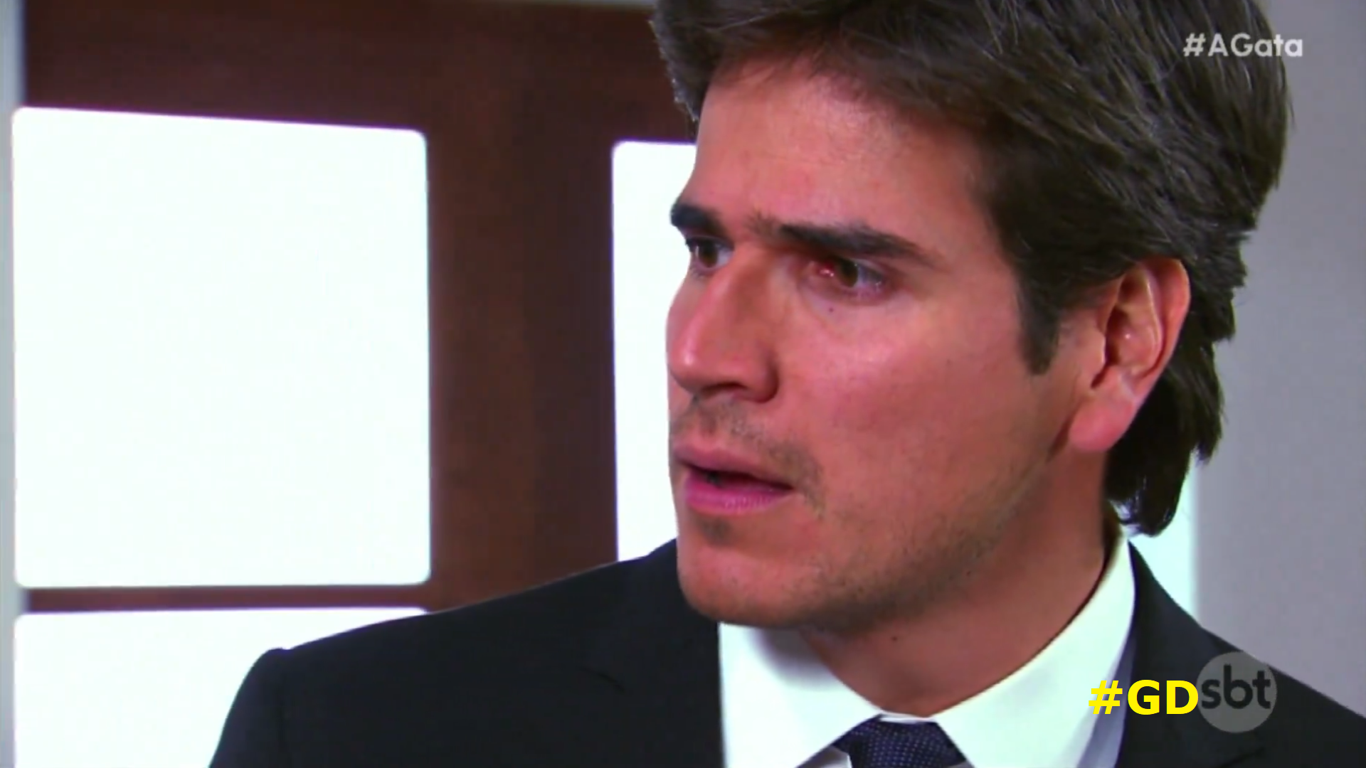 2024: “A Gata” se despede em baixa